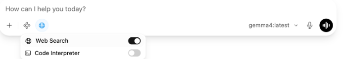 enable Web search