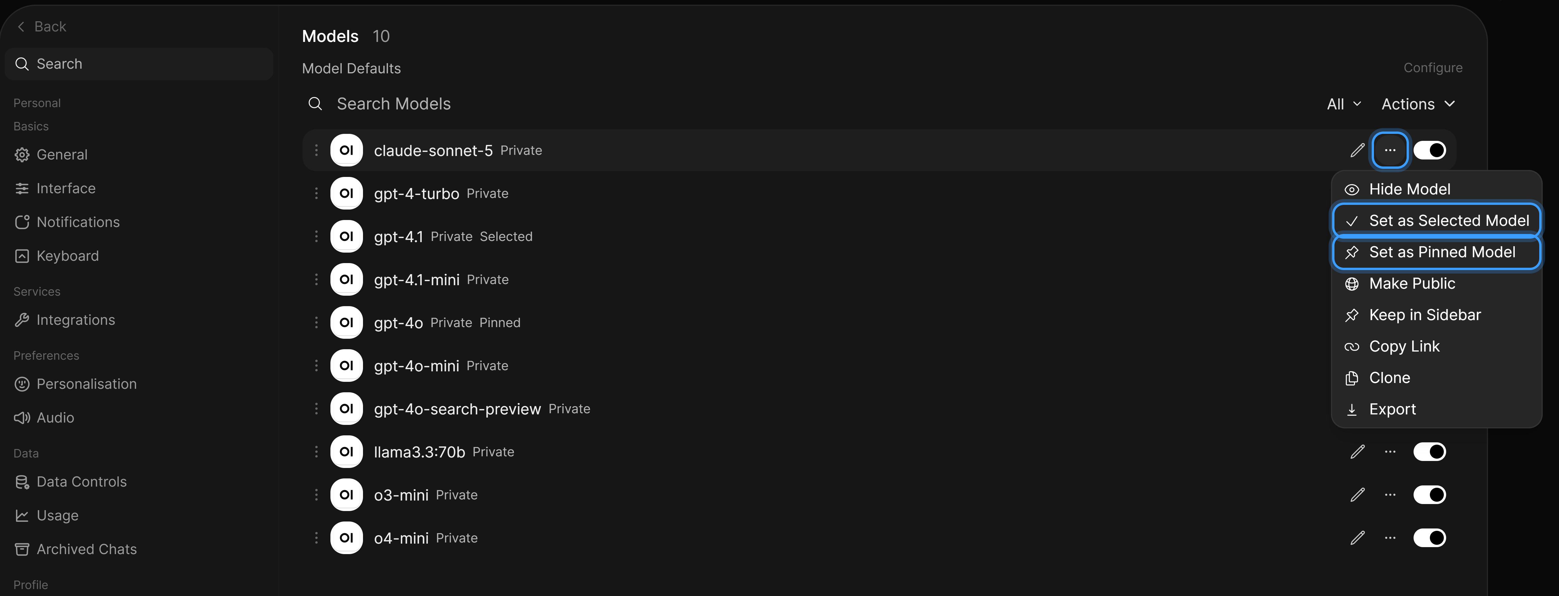 Set as Selected Model and Set as Pinned Model in a model's ellipsis menu