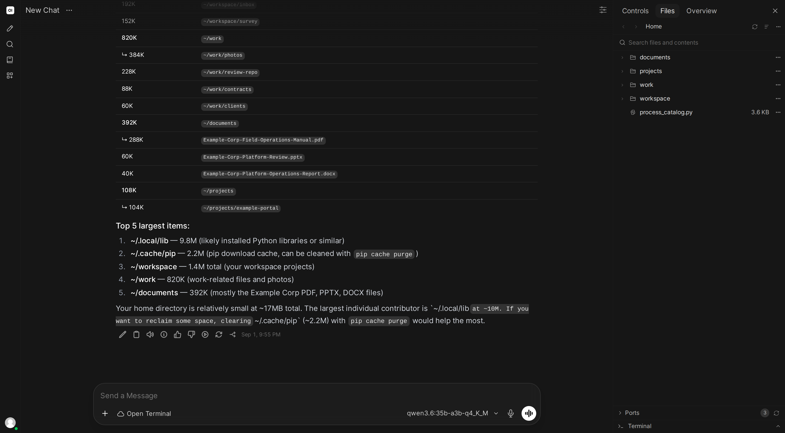 AI analyzing disk usage and identifying large files