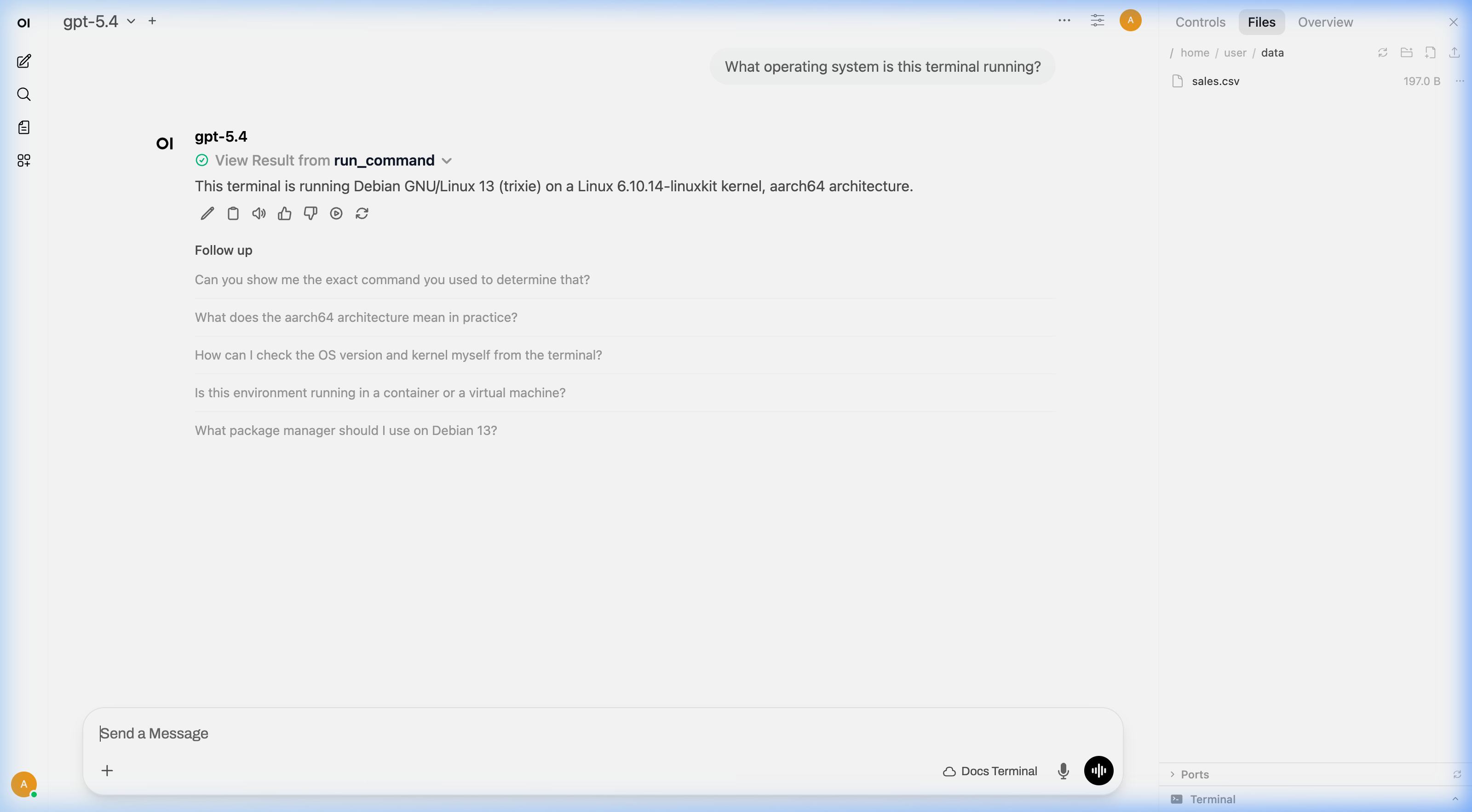 AI using run_command to check the operating system