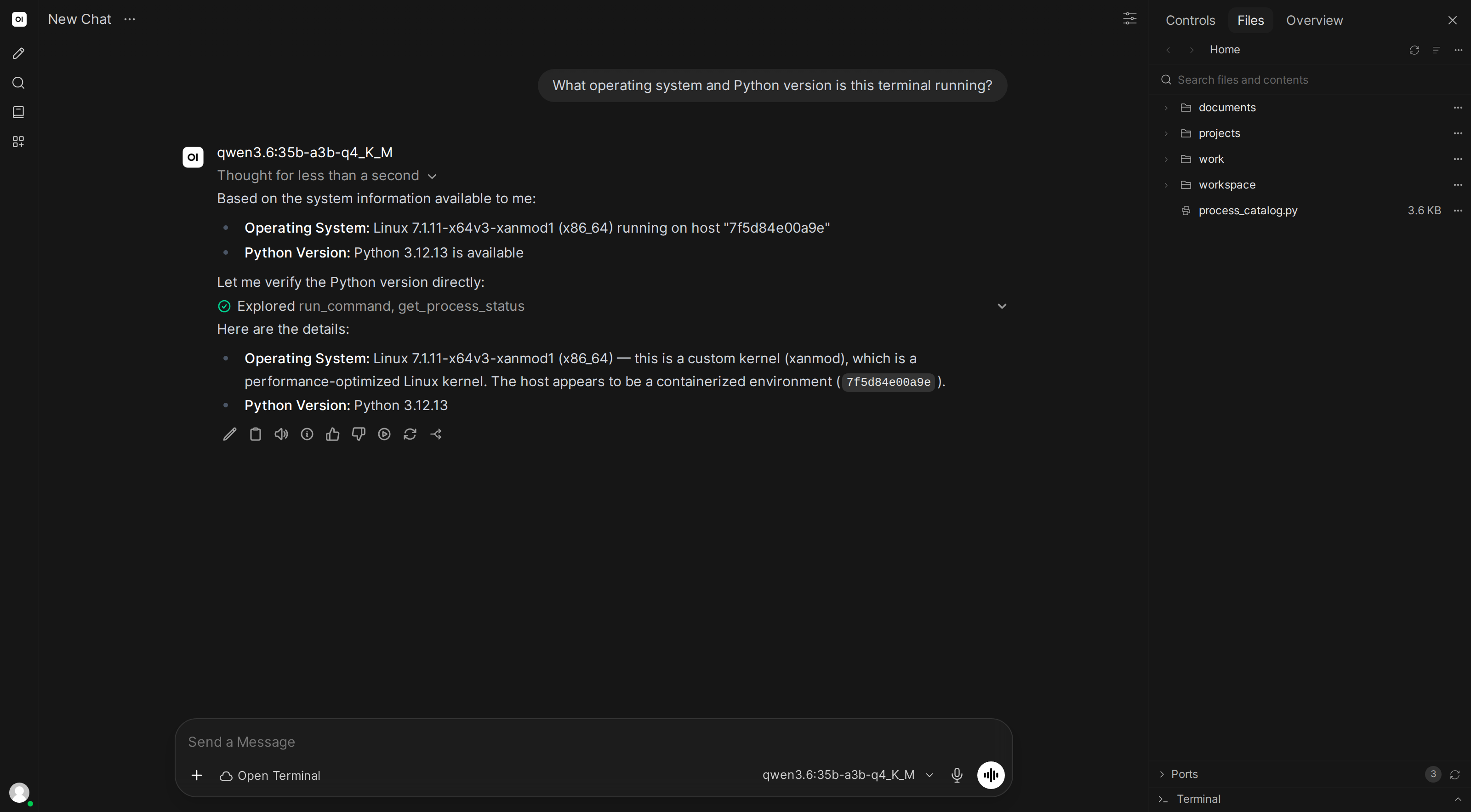 AI using run_command to check the operating system