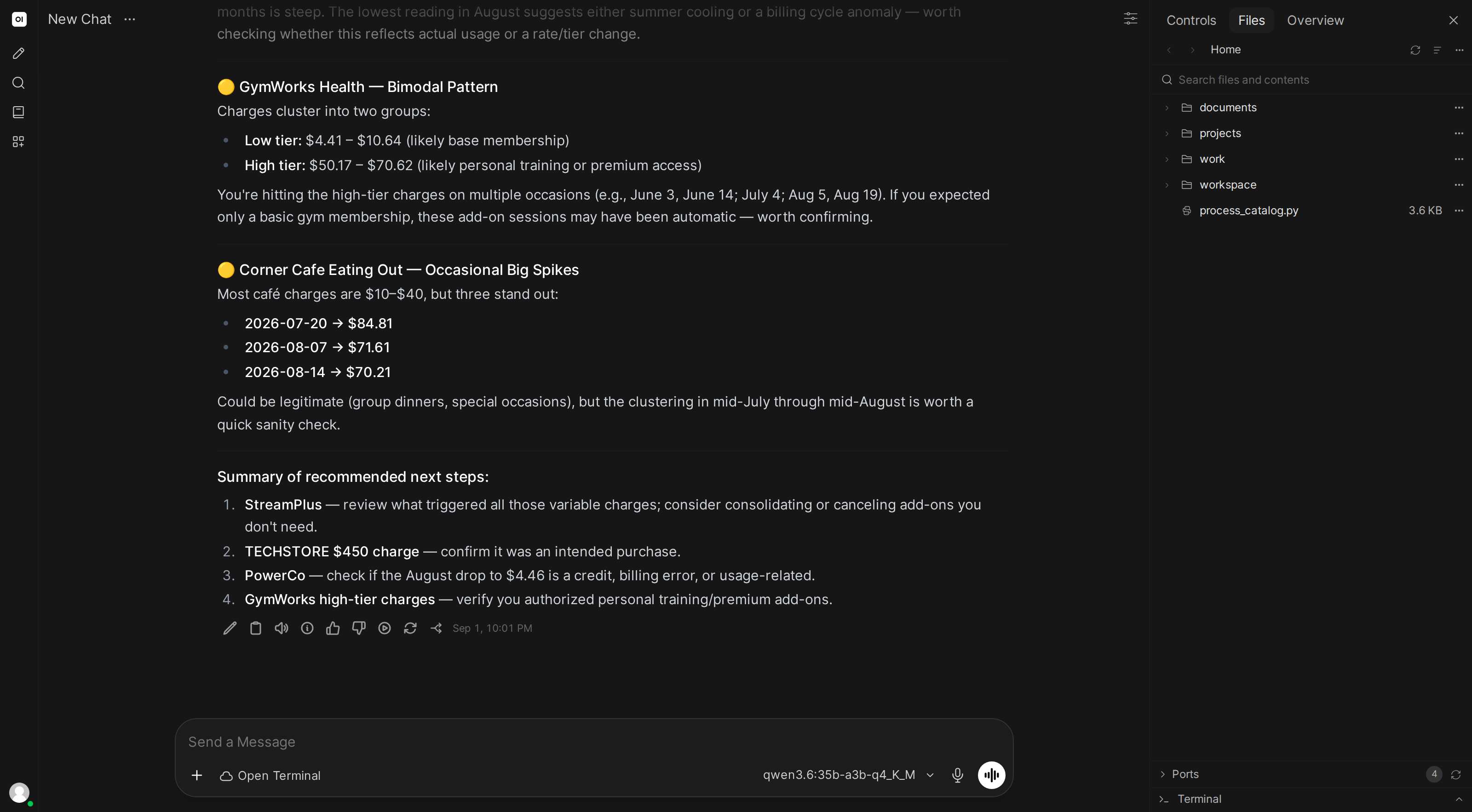 The AI flagging unusual transactions in the statement